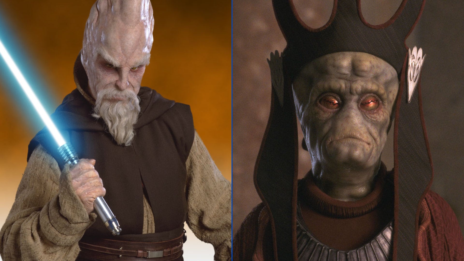(L-R): Silas Carson as Ki-Adi-Mundi and Viceroy Gunray in the Star Wars Prequels - Lucasfilm Ltd.